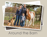 Around the Barn Photo Gallery
