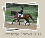 2011 Dressage Shows