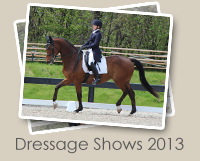 2013 Dressage Shows Photo Gallery