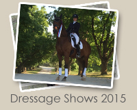 2015 Dressage Shows Photo Gallery
