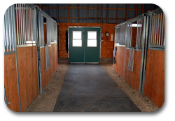 Inside Grooming Stable